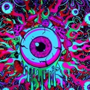 Meet your Posher, Lilly